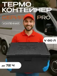 Термоконтейнер TERMOBOX Бытовой Normal, 60 л, 600х400х400 мм, 40кг/м3