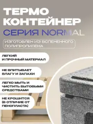 Термоконтейнер TERMOBOX Бытовой Normal, 84 л, 800х600х320 мм, 40кг/м3
