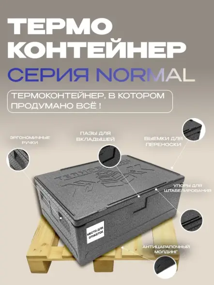Термоконтейнер TERMOBOX Бытовой Normal, 84 л, 800х600х320 мм, 40кг/м3